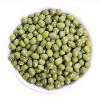 China China High Quality High Quality Green Beans Dry for sale