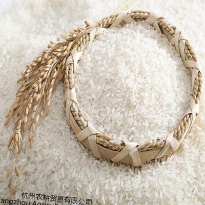 China China Dry Manufacturing Cheap Canteen Supply Rice Agricultural Products Fragrant Rice for sale