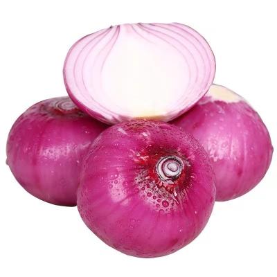 China Fresh seasonal product fresh onions grown by yourself sweet vegetables for sale