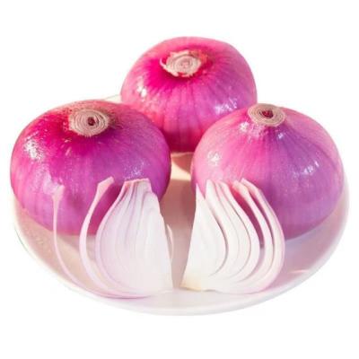 China Cheap Fresh Direct Sales 100% Natural Regeneration And Delicious Fresh Organic Onion for sale