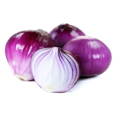 China Fresh Quality Fresh Red Onion Wholesale Price & Import Exporter Bulk Suppliers for sale