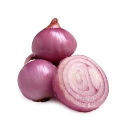 China Fresh Chinese New Season Red Onion 5-7cm/China Fresh Onion Import-Export for sale