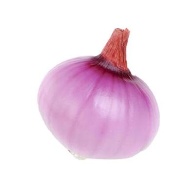 China Wholesale Cheap Fresh Organic Chinese Onions and Fresh Vegetables All Sizes for sale