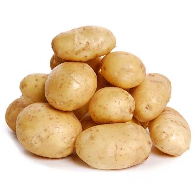 China Hot Season Fresh Farm Fresh Vegetables Suppliers China New Products Large Potatoes One Ton for sale