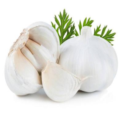 China China Fresh Cheap Fresh Farmers Grow Their Own High Quality Garlic Seasonal Garlic for sale