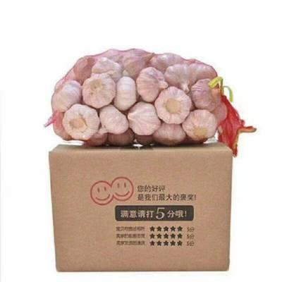 China Wholesale High Quality Fresh Garlic China Fresh Vegetable Garlic Price Chinese Supplier for sale