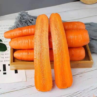 China Fresh newcomer farm quality seasonal fresh carrots, a ton of fresh carrots for sale