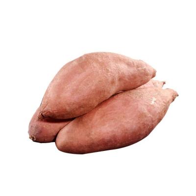 China China Fresh Cheap Spring Onions Are Used For Cooking Seasonal Sweet Potatoes High Quality Sweet Potatoes for sale