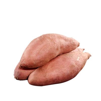 China The best fresh selling fresh onions are used to cook sweet potatoes, seasonal high quality sweet sweet potatoes for sale