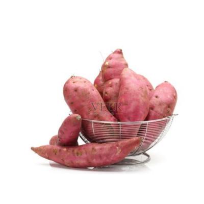 China high standard china shandong fresh vegetable fresh seasonal high quality sweet sweet potato for sale