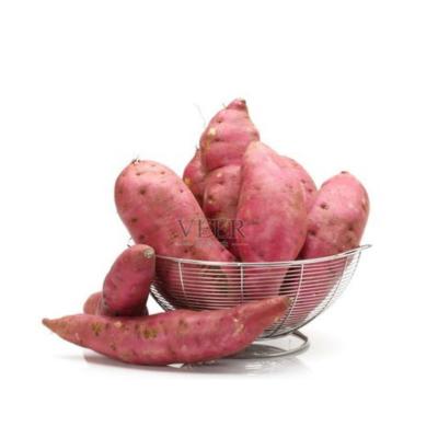 China Wholesale seasonal high quality soft sweet potato Shandong fresh vegetable china good quality sweet potato for sale