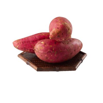 China Promotion high quality seasonal fresh farm high quality sweet potatoes, a ton of fresh sweet sweet potatoes for sale