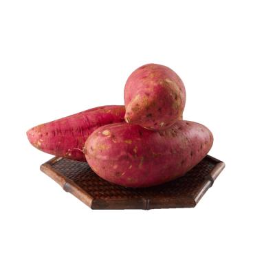 China High quality best price seasonal farm fresh sweet potatoes, a ton of fresh sweet sweet potatoes for sale