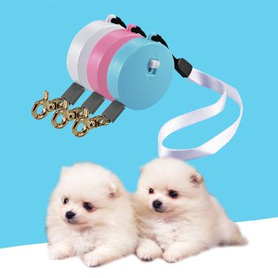 China Mini and Portable Pets Personalized Small Leash Walking Leash with Wrist Strap Pocket Wrist Dog Leash for sale