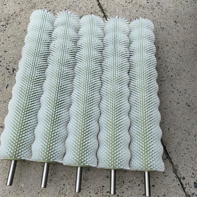 China Coil Brush Egg Cleaning Brush Roller Spiral Cleaning Brush China Best Quality for sale