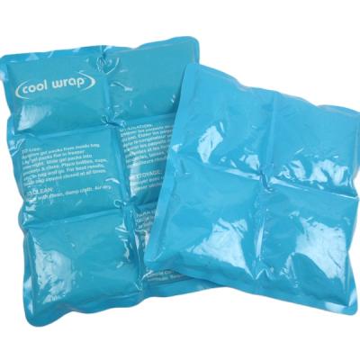 China Food 6 Cell Ice Packs For Seafood Transport Keep Cold And Fresh 6 Cell Sheet Ice Cooling Pack for sale