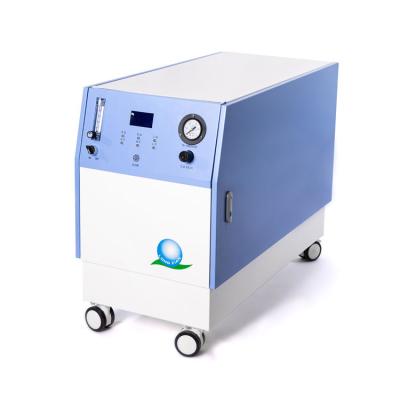 China Longfian Low Noise Veterinary Use Large Volume Oxygen Source Up To 60 LPM Veterinary Oxygen Concentrator for sale