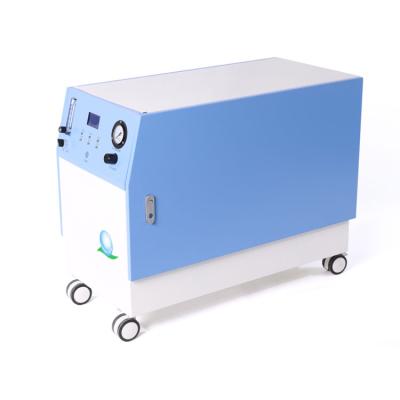 China Brand Longfian Low Noise Large Flow Veterinary Use Oxygen Reliable Solution up to 60 LPM Veterinary Oxygen Concentrator for sale