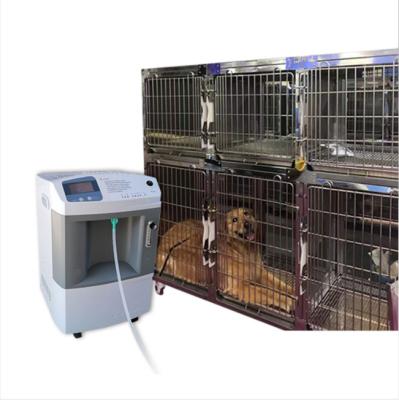 China CE Silent Veterinary 10liter Oxygen Concentrator With Pet Cage Use for sale