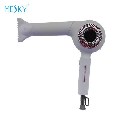 China Concentrator Nozzle BLDC Motor Brushless Hair Dryer Customized Color for sale