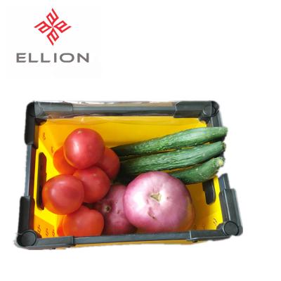 China Recyclable Vegetable Corflute Box Fruit Packaging PP Corn And Corrugated Plastic Sheets Broccoli Box for sale