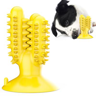 China Viable Pet Shop Cactus Shaped Tpr Pet Chew Toys Stick Dogs Teeth Cleaning Toothbrush Dog Toothbrush Toy for sale