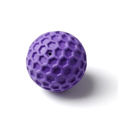 China Amazon Sustainable Hot Sale Non-Toxic Rubber Pet Toys Dog Chew Toys Squeaky Ball for sale