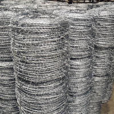 China Cheap High Tensile Protective Performance Barbed Wire Fence Collar Galvanized Barbed Iron Coil Wire Supplier for sale