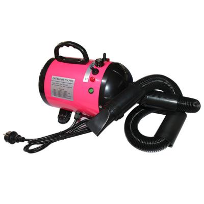 China Factory Direct Sales Viable Cat Dog Blower Blowing Pet Hair Dryer For Small Animals Machine for sale