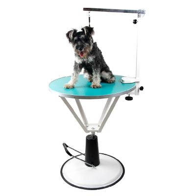 China Best Viable For Sale High Quality Dog Pet Grooming Table for sale