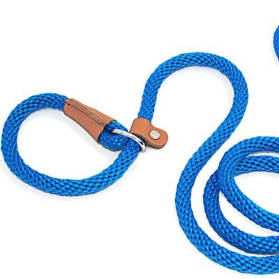 China Long Sustainable Waterproof Dog Pet Leash Set Wholesale Private Label Pet Leash for sale