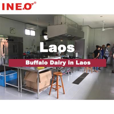 China Successful Hotel Buffet Food Equipment Hotel Buffalo Dairy In Laos Commercial Kitchen Equipment for sale