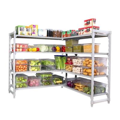 China Eco-friendly High Quality Rust Free Cold Room Shelving Shelf Storage For Each Layer Can Load 250Kgs for sale