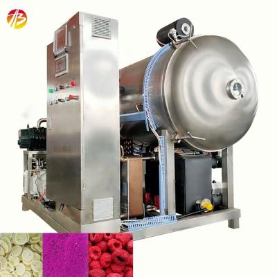 China Easy Operate Vacuum Freeze Dried Food Machine with High Productivity and Pre-freezing for sale