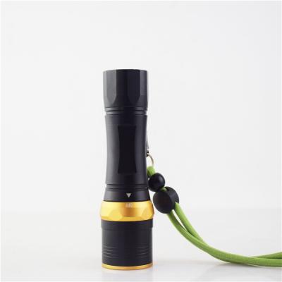 China Emergency Professional Design Led Torch Flashlight Diving for sale