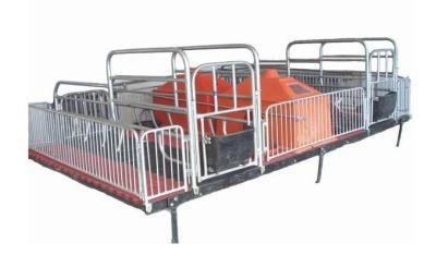 China pig breeding equipment  for sale