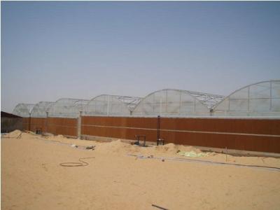 China Hot Weather Management of Poultry for sale