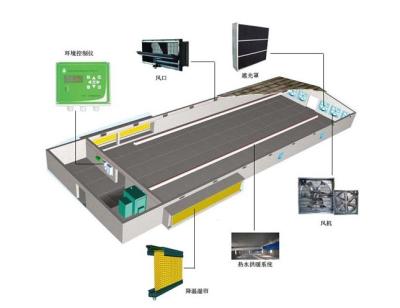 China Controlled Climate Systems with Tunnel Ventilation to Prevent Animal Heat Stress for sale