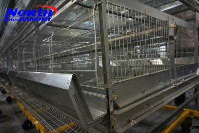 China High Quality poultry Egg Layer Chicken Cage(ISO9001) for sale