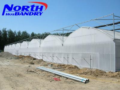 China agricultural poly film greenhouse for sale in China for sale