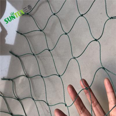 China Agricultural mesh UV protection green and white support cucumber plant support netting cheap netting cucumber trellis netting for sale