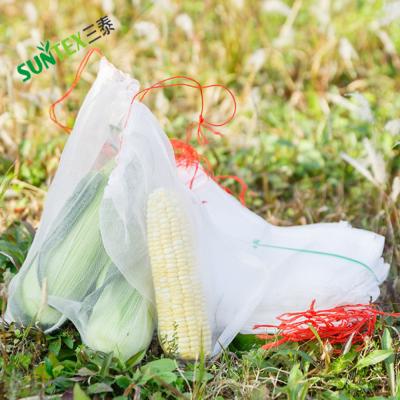 China Anti insect protection 50Mesh 100gsm Clear HDPE Seed bag breeding mesh bag anti insect net bag for sale