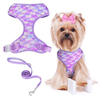 China Custom Design Customized Padded Mesh Products Supplies Breathable Outdoor Dog Vest Harness And Leash Set Small Cute Bows Pattern for sale