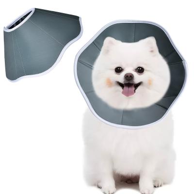 China 19Mm Elizabethan Pet Obstruction Slip Retrieval Cone Soft Viable Dog Protector Veterinary Adjustable Collar For Dogs for sale