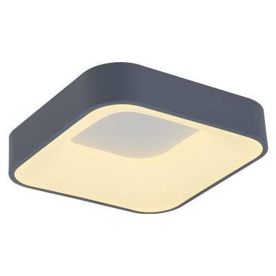 China New Design Decorative Aluminum Iron Base Remote Control / App Control Outdoor Mounted Led Ceiling Light for sale