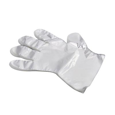 China PE Plastic Polyethylene Disposable Gloves House Food Handling PE HDPE Disposable Cleaning Gloves for sale