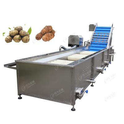 China Leadworld Reinigingsapparaat aardappel/karoot/cassava/Taro wasmachine groentenreinigingsapparaat Te koop