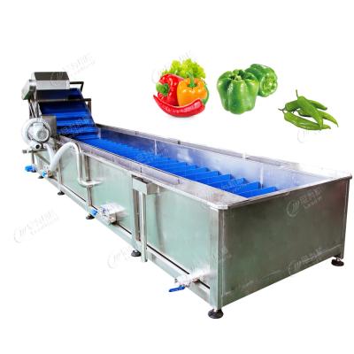 China Groentenwasmachine groene peper chili reinigingsmachine Te koop