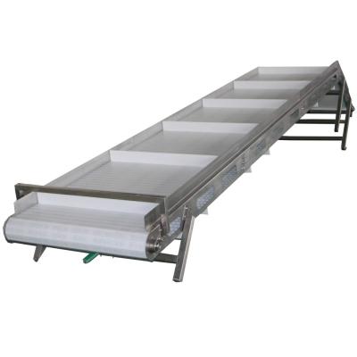 China Voedingsmiddelenbedrijf Conveyor Neigband Plastic Table Top Chain Conveyor System Te koop