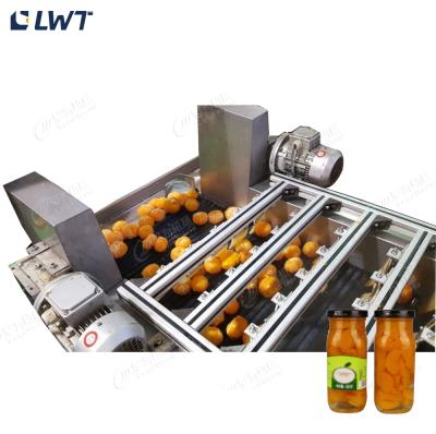 China Leadworld Canned Fruit Production Line Canned Orange Processing Line for sale